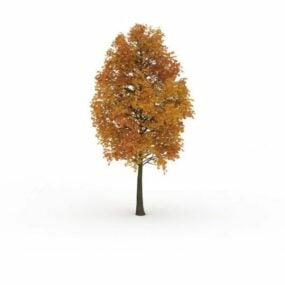 橙色糖枫树3d模型