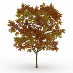 Árbol de otoño con hojas modelo 3d