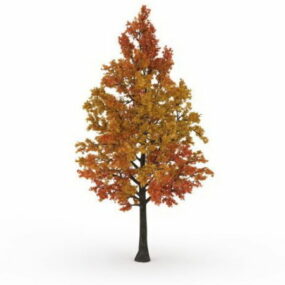 نموذج شجرة القيقب الخريفية ثلاثي الأبعاد