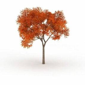 秋天的火焰枫树3d模型