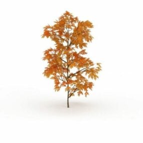 Model 3D złotego jesiennego drzewa klonowego