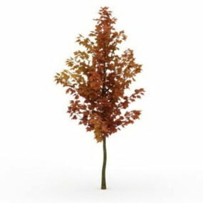 Model 3D Pohon Maple Oranye