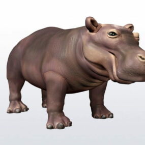 Happy Hippo 3d model