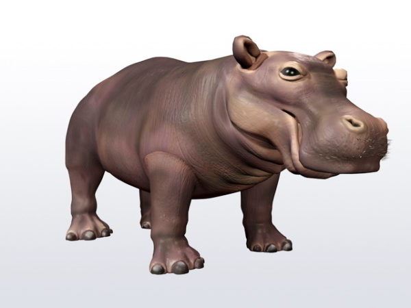 Seneng Hippo