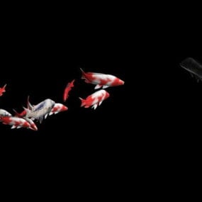 Animation d'école de poissons modèle 3D