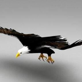 مدل سه بعدی انیمیشن پرواز عقاب