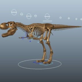 Tyrannosaurus Rex Skeleton Rig 3d-modell