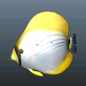 מודל תלת מימד של אנימציה של דגים ימיים