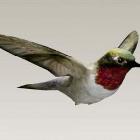 Kolibri 3D-Modell