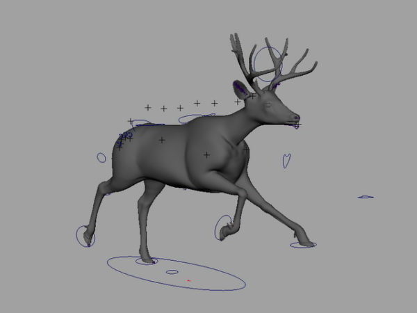 Animated Mule Deer