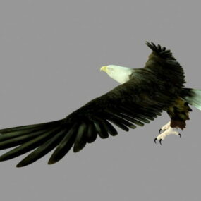 مدل سه بعدی عقاب طاس