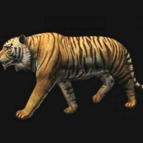 3d модель анімаційного бенгальського тигра