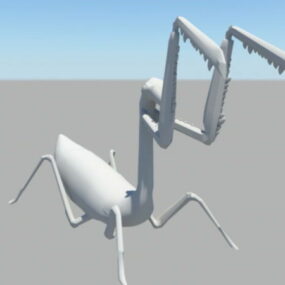 金螳螂动画与装备 3d模型