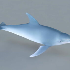 Modelo 3d del aparejo del delfín azul