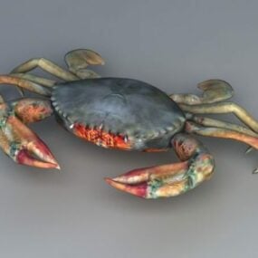 Grüne Krabbe 3D-Modell