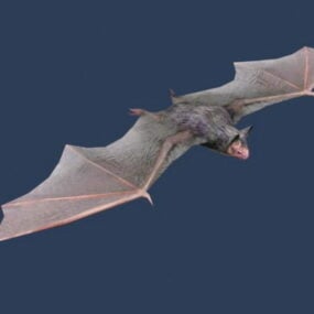 Modelo 3d do morcego Vesper