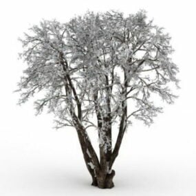 Gammelt træ i sne 3d-model
