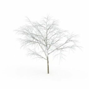 Sneeuwboom 3D-model