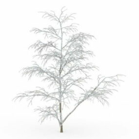 Snow-covered Tree 3d model