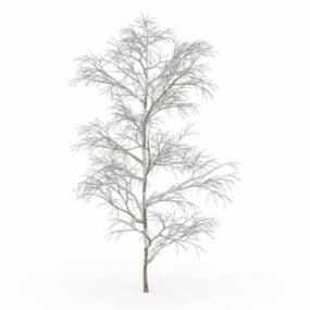 3д модель заснеженного дерева зимой
