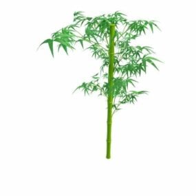 Green Bamboo Stem With Leaves 3d model