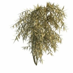 斑驳的柳树植物3d模型