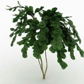 Lövträd för trädgårdslandskap 3d-modell