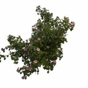 مدل سه بعدی درختچه های گلدار صورتی