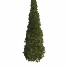 Pencil Pine Tree 3d-modell