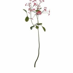 Modelo 3d de flor de sálvia escarlate