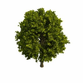 Solak Büyük Ağaç 3d modeli