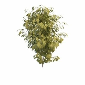 园林绿化灌木植物3d模型