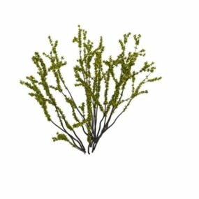 春の低木の3Dモデル