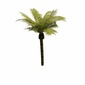 棕榈树3d模型