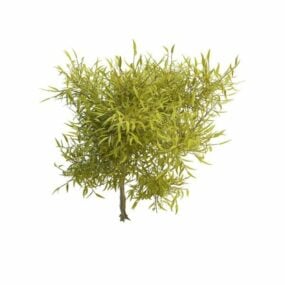 Spring Willow Branches 3d-modell