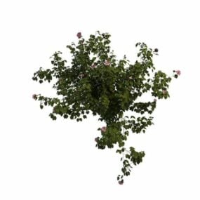Model 3d Pohon Kembang Sepatu Berbunga
