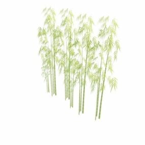 竹类植物3D模型