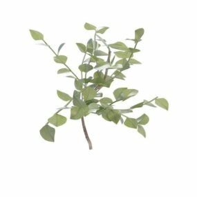 Branch With Leaves 3d model