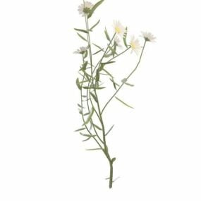 Modello 3d della pianta di erba fiorita