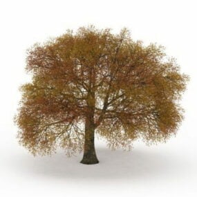 Autumn Oak Tree 3d model