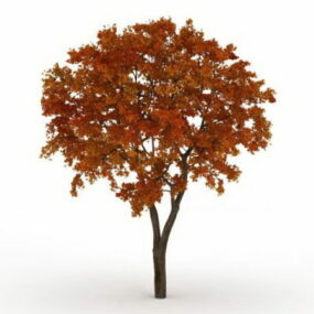 Late Autumn Tree 3d model