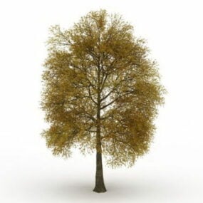 Modello 3d dell'albero di metà autunno