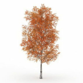 가을 포플러 나무 3d 모델