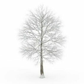 Zimní strom 3D model