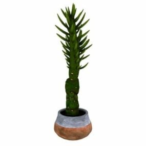 Modelo 3d de plantas suculentas bonsai em vasos