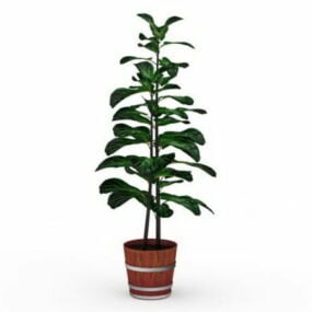 Modelo 3d de plantas em vasos de barril