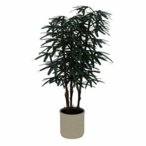 Potted Bamboo Plant 3d-modell
