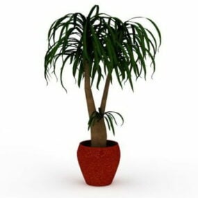 3д модель растения бонсай в горшке