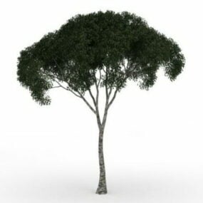 Paraply Tree 3d-model