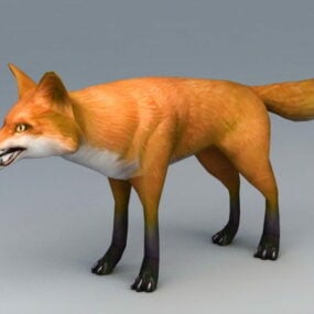 红狐3d模型